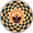 ChessCoin logo
