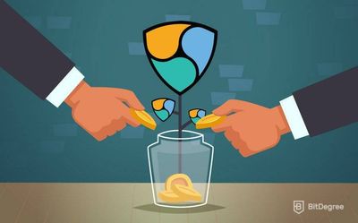 Comment Acheter Nem Crypto: Le Guide Complet