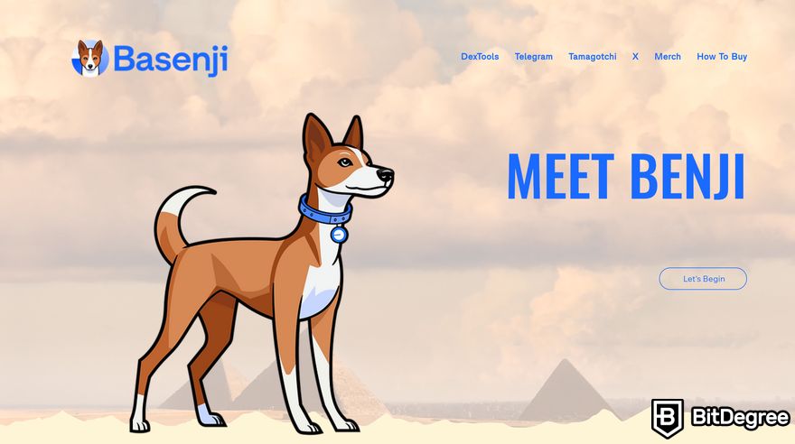 Base meme coins: Basenji ana sayfasına bir önizleme.