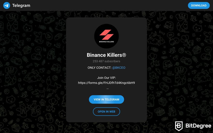 おすすめ仮想通貨Telegramグループ: Binance Killers Telegramの招待ページのプレビュー