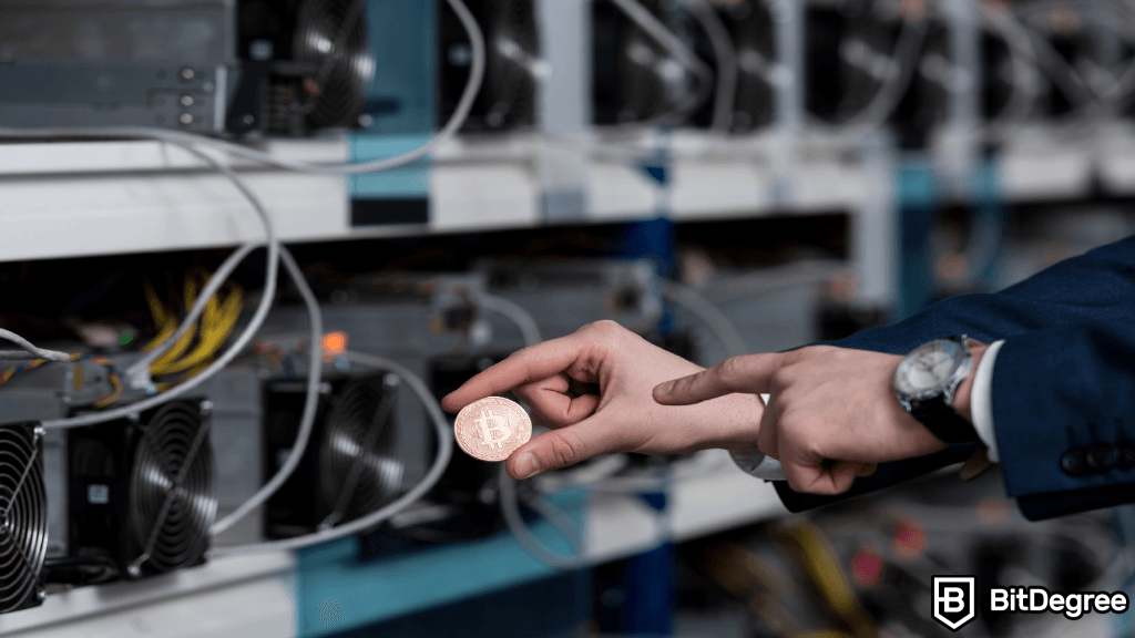 Blokların Ötesinde: Blockchain Platformlarının Dünyasını Keşfetmek