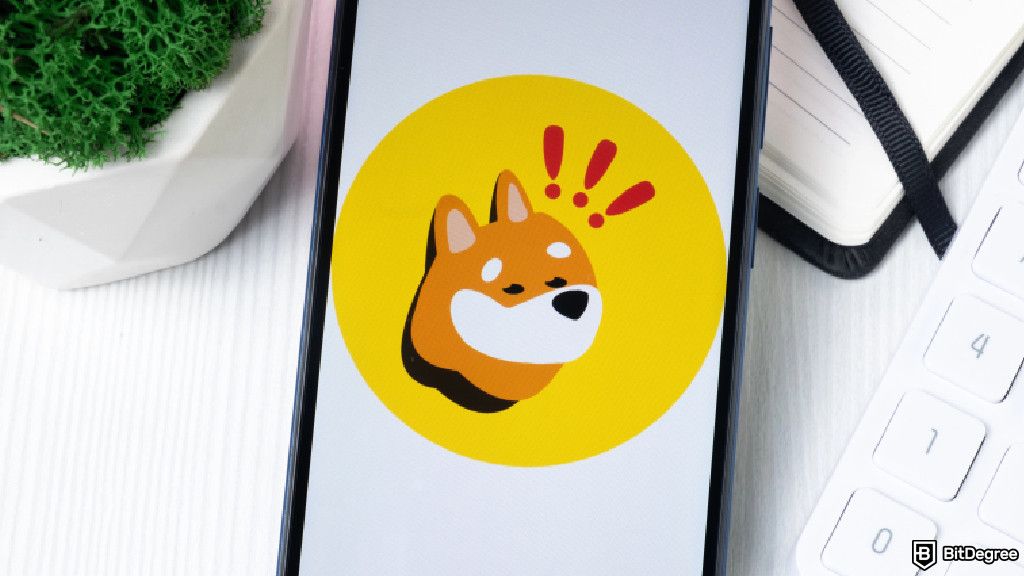 Airdrop Bonk token: Quá khứ, hiện tại và con đường phía trước