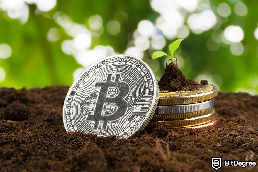 Blockchain'in Geleceği: Filizlenen küçük bir bitkinin yanında duran Bitcoin token'ı.