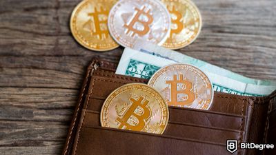 Hot Wallet VS Cold Wallet: Deciding the Best Crypto Storage for You