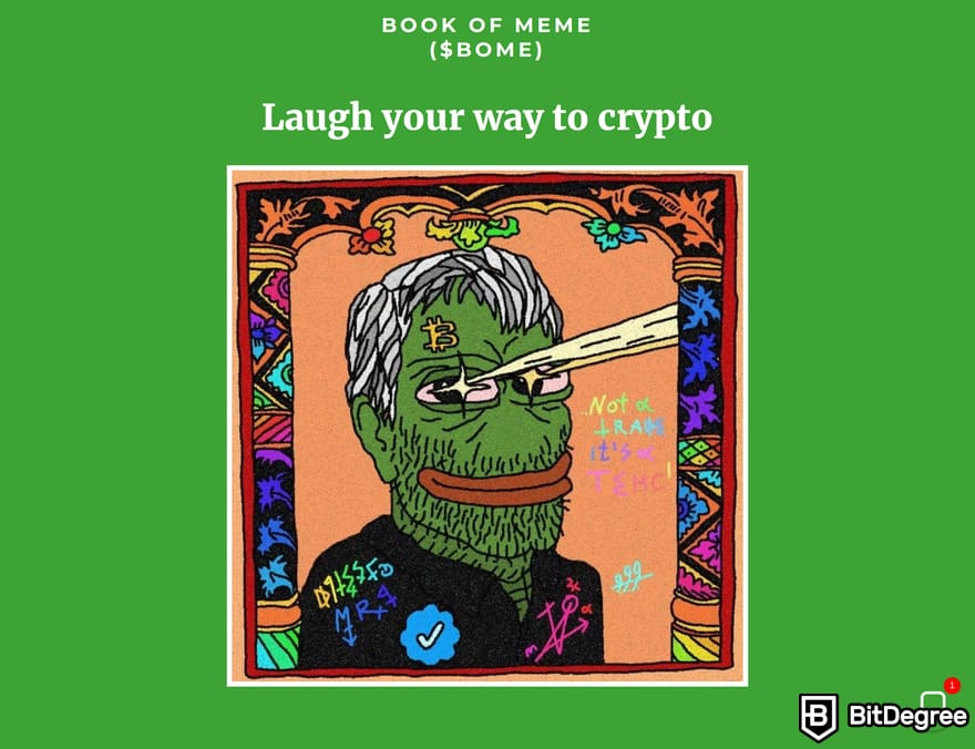 如何购买 Solana Meme 币：Book of Meme 主页预览。