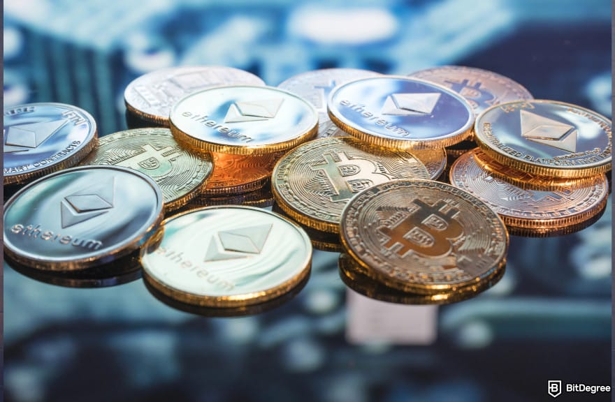Cara memilih dompet crypto: dukungan multi mata uang.