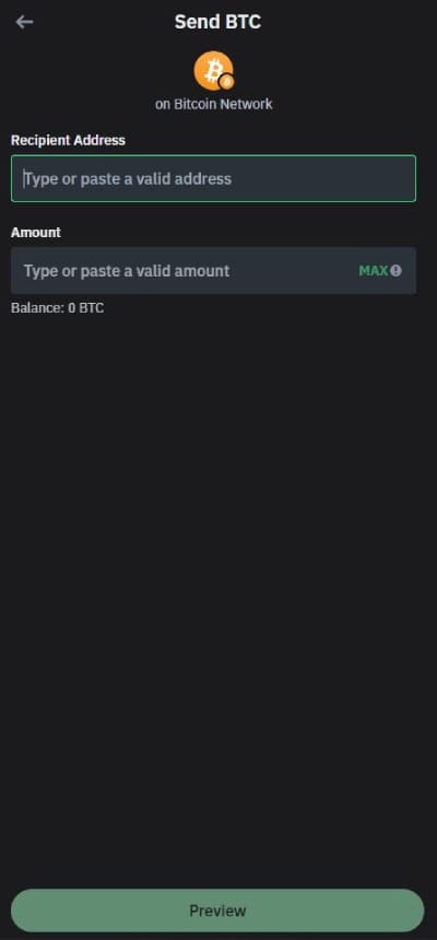 How to withdraw money from Trust Wallet: paste your Binance address.