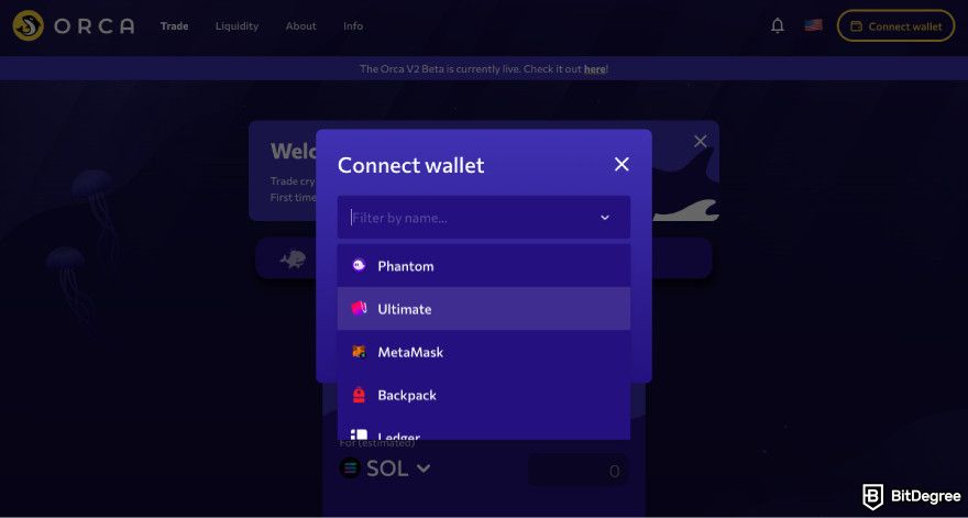 Ulasan Bursa Orca: tangkapan layar proses pemilihan dompet Orca.